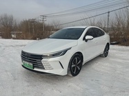 BYD Destroyer 2024