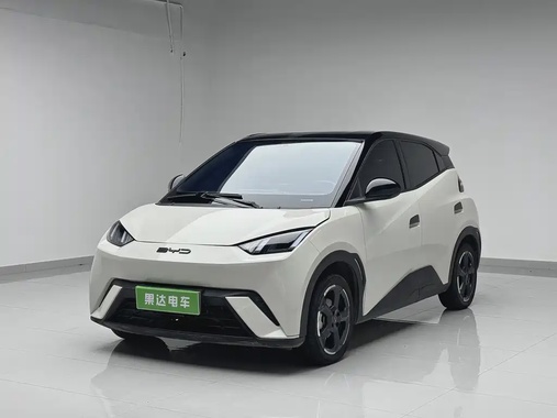BYD Seagull 2024