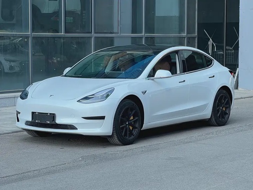 Tesla Model 3 2019