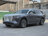 Hongqi E-HS9 2021