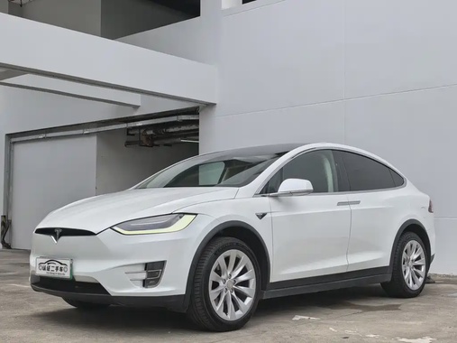 Tesla Model X 2019