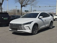 BYD Destroyer 2025