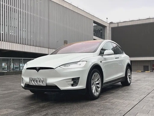 Tesla Model X 2019