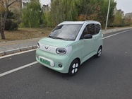Wuling Mini 2024