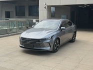 BYD Destroyer 2022