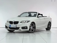 BMW 2 Series 2019