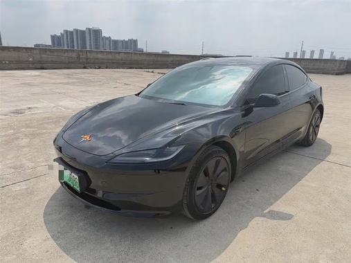 Tesla Model 3 2024