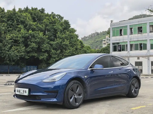 Tesla Model 3 2020