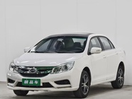 BYD Surui 2016