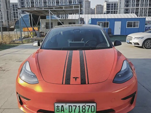 Tesla Model 3 2021