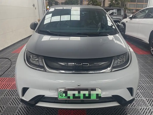 BYD Dolphin 2022
