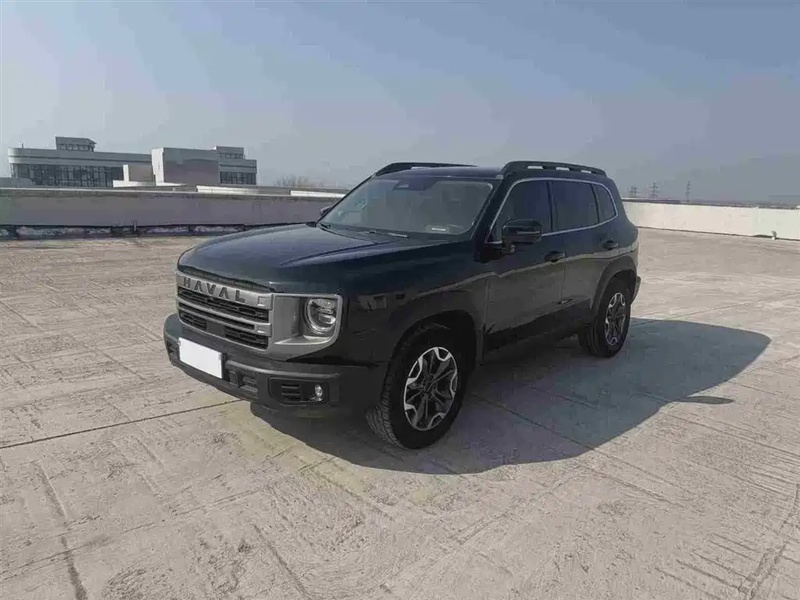Haval Big Dog