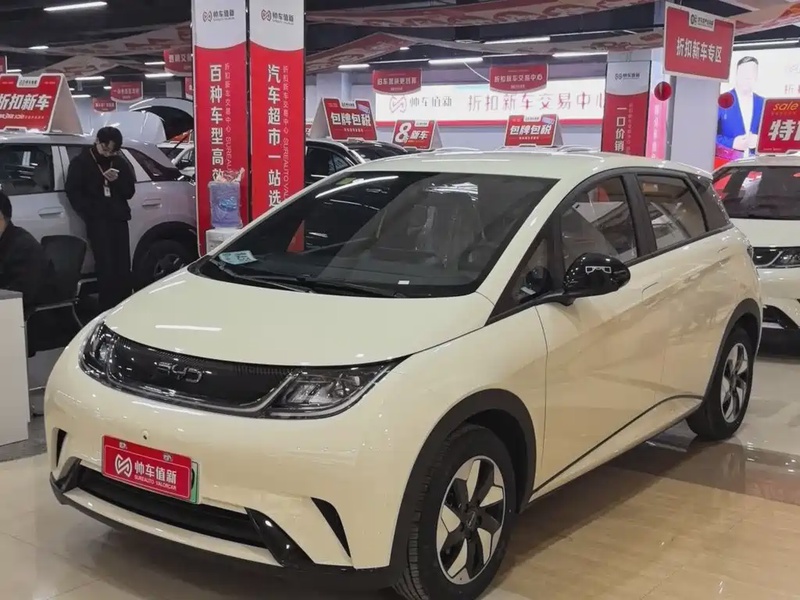 BYD Dolphin