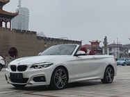BMW 2 Series 2019