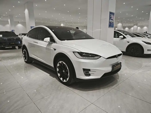 Tesla Model X 2020