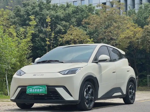 BYD Seagull 2024