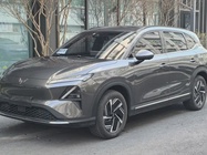 Wuling Xingguang 2024