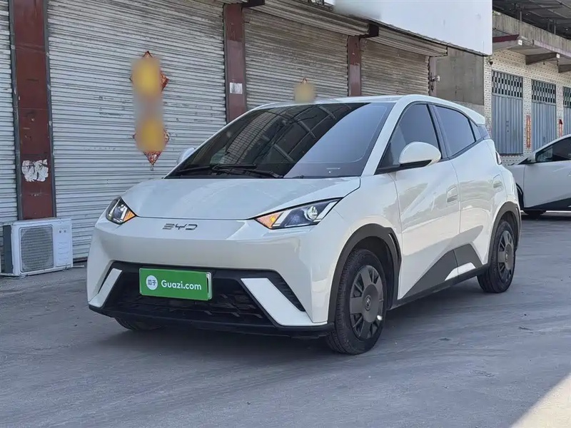 BYD Seagull