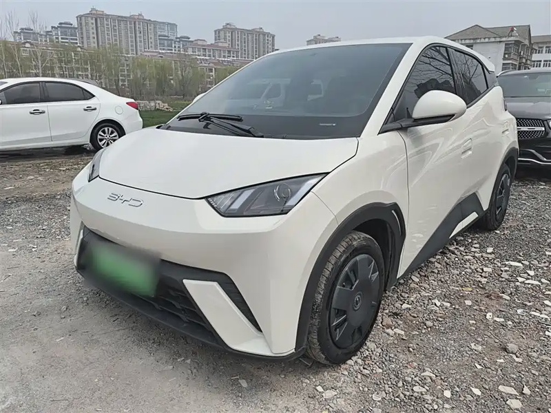 BYD Seagull