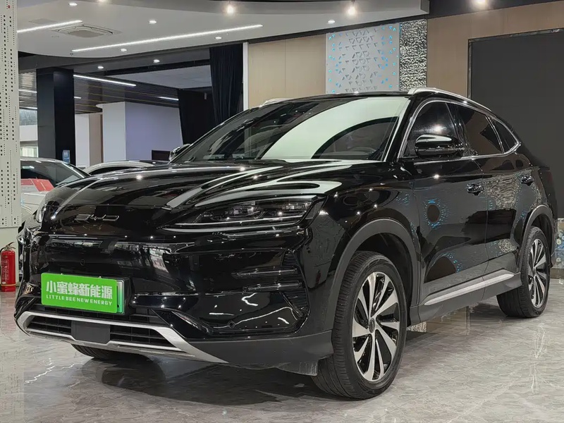 BYD PLUS