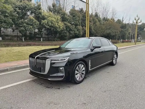 Hongqi H9 2021