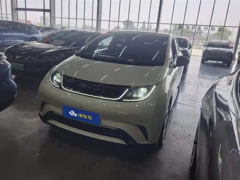 BYD Dolphin