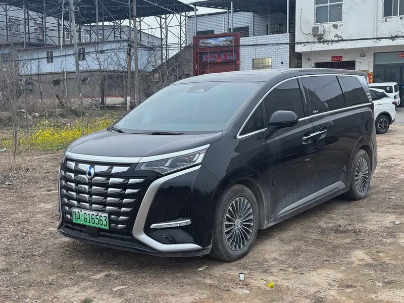Denza D9