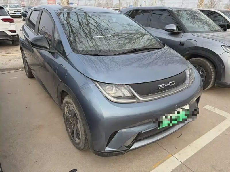 BYD Dolphin