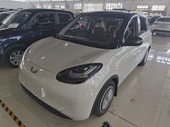 Wuling Bingo 2024