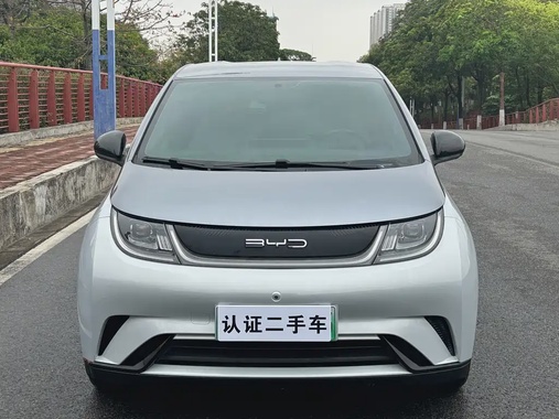 BYD Dolphin 2022