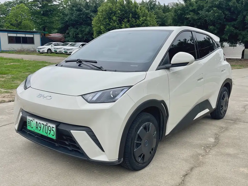 BYD Seagull