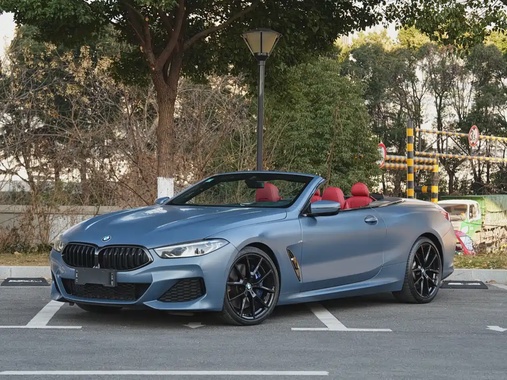 BMW 8 Series 2019