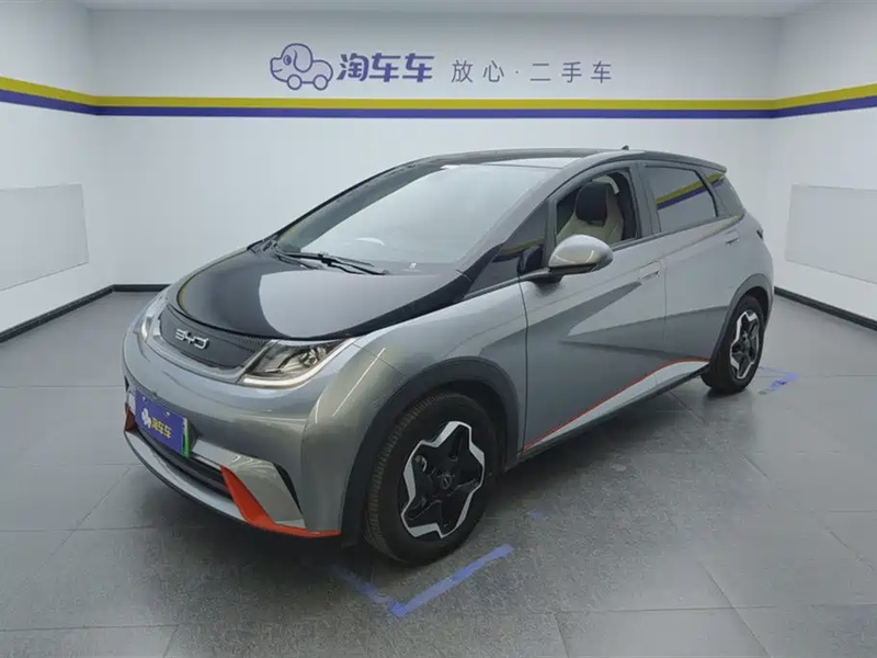 BYD Dolphin