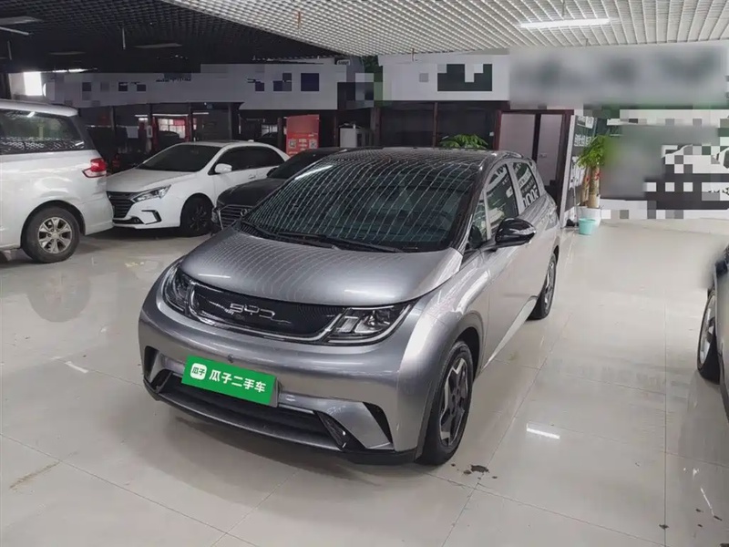 BYD Dolphin
