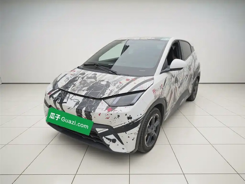 BYD Seagull