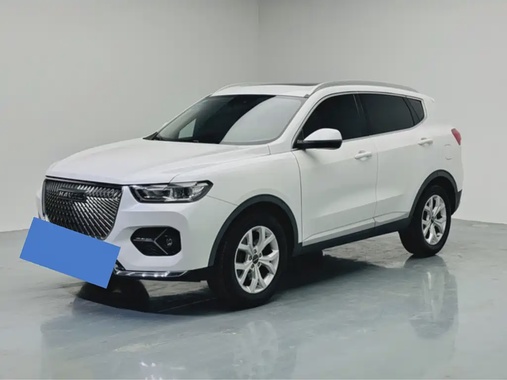 Haval H6 2020