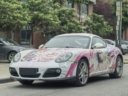 Porsche Cayman 2011