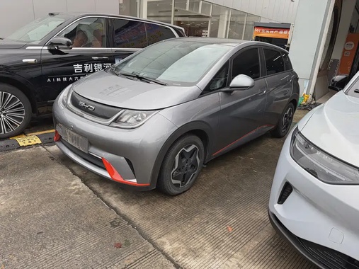 BYD Dolphin 2022