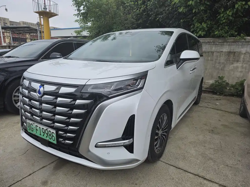 Denza D9