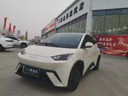 BYD Seagull 2024