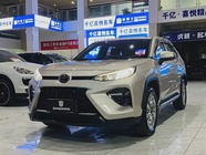 Toyota Wildlander 2021
