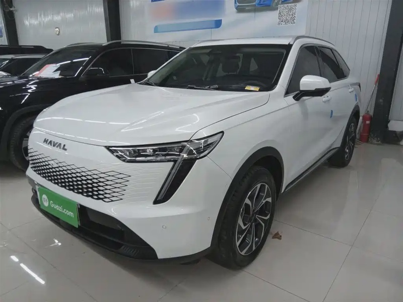 Haval Xiaolong
