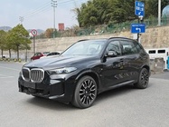 BMW X5 2025