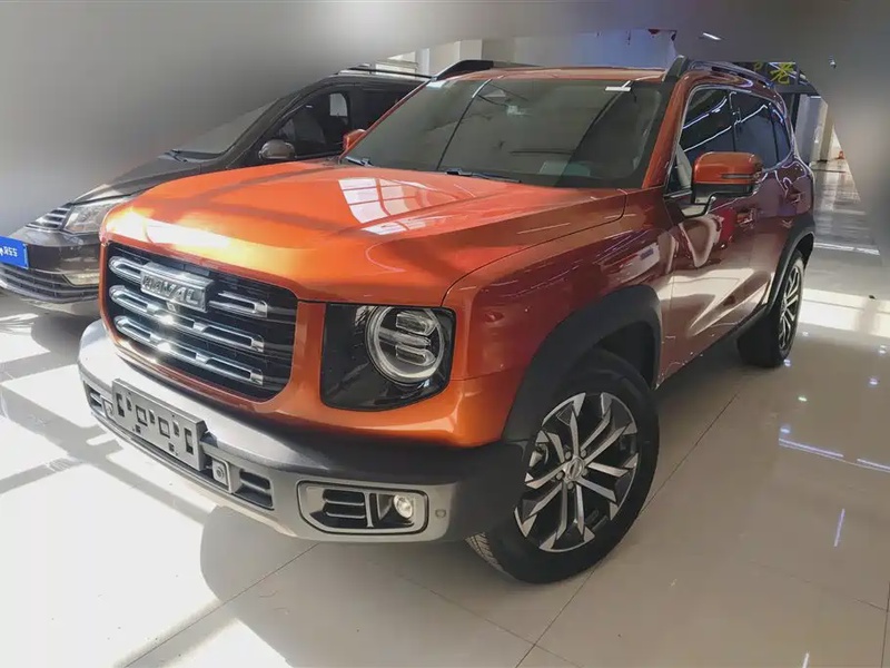 Haval Big Dog