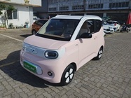 Wuling Mini 2024