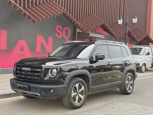 Haval Big Dog 2021