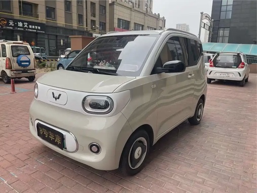 Wuling Mini 2024