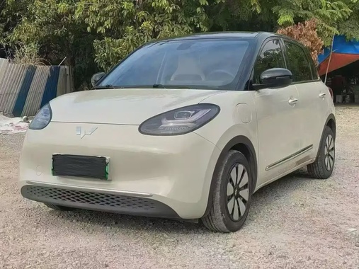 Wuling Bingo 2024