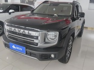 Haval Big Dog 2025