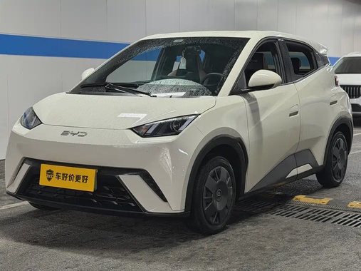 BYD Seagull 2024